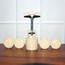 Spring Press Cookie & Pastry Mold - (Set)