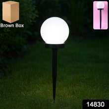 Solar Garden Light